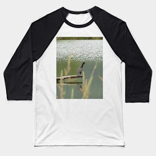 Double Crested Cormorant #2 Baseball T-Shirt